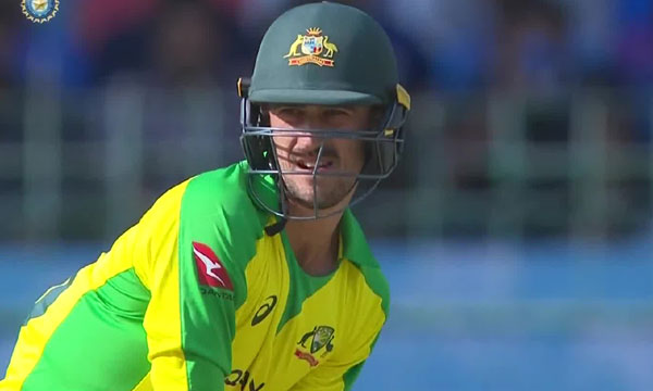 IND vs AUS; Mitchell Starc's Wife Alyssa Healy Reacts To His Dismissal, Leaves Twitter In Splits