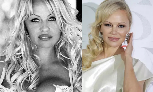 pamela anderson marries for fifth time meet her husband