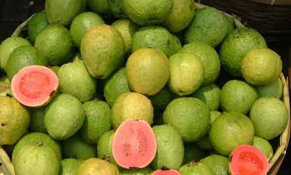 classmates killed student by beaten for not giving guava 