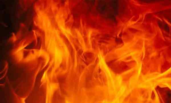 fire broke out in pineapple farm man died 