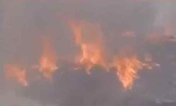 wild fire forest officers died 