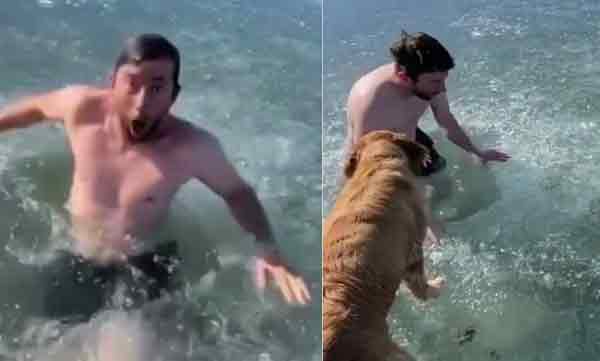 tiktok star gets trapped under ice