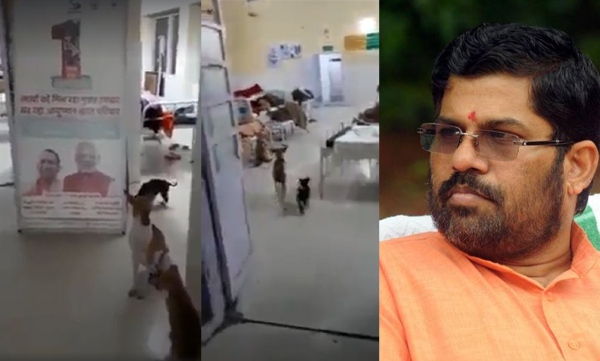 ഉത്തര്പ്രദേശ് ആശുപത്രിക്കുള്ളില് 'റൗണ്ട്സിനിറങ്ങിയ' നായകളുടെ വിഡിയോ പങ്കുവച്ച് സന്ദീപാനന്ദ ഗിരി