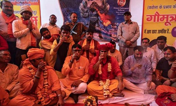 hindu mahasabha hold gaumutra party to prevent corona virus 