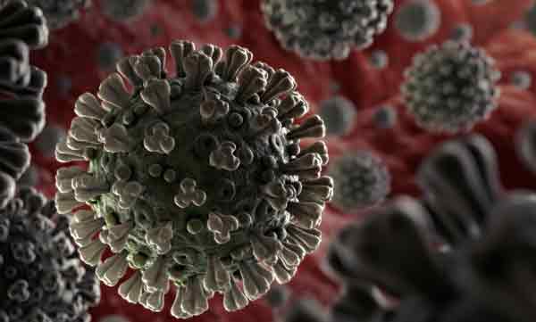 corona issues in karnadaka