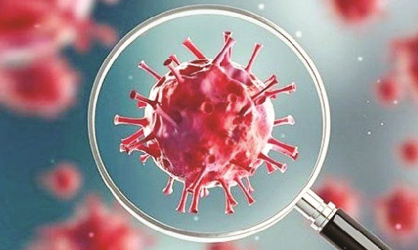 Coronavirus - 6 Who Attended Delhi Mosque Congregation Die Of COVID-19 In Telangana