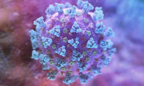 gujarat government clarification for the news seperate rooms for covid patients 