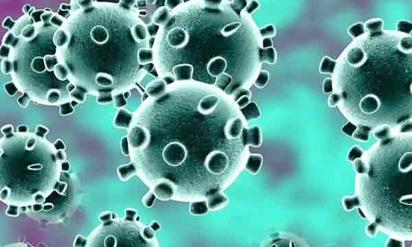 lock down violation son send mother to cousins house