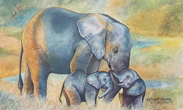 kottayam nazeer lockdown days