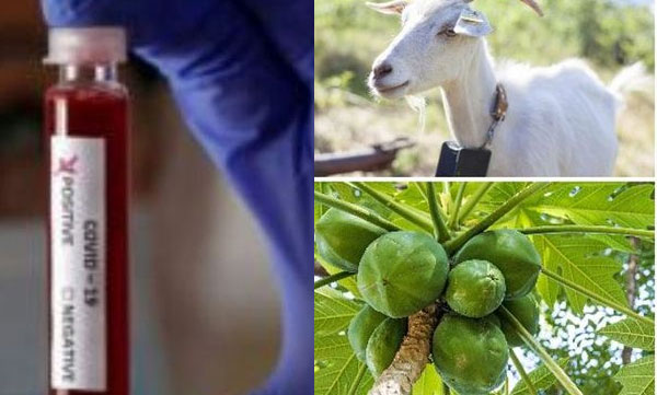 corona result positive