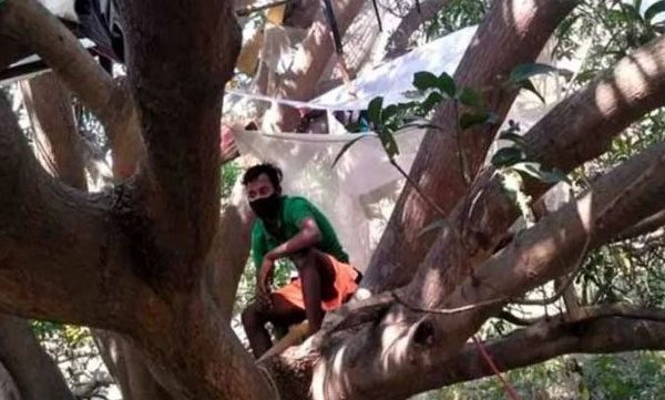 200 km walk to reach home and make hut in tree for self quarantine 