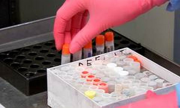 62 more crpf personnel test positive of covid 19