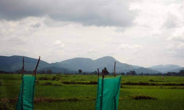 Wife Treks For Four Days In Forest To Rescue Cop 