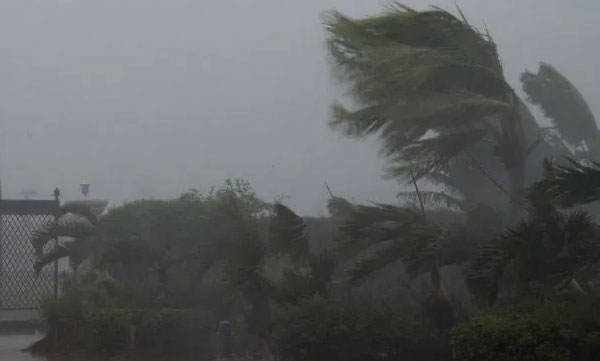 Heavy rain in kerala, 