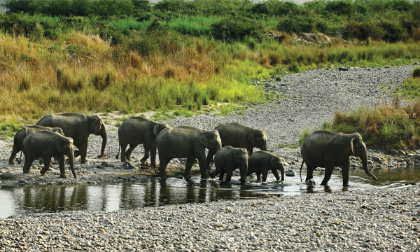 Wildlife Photography Azeez Mahe