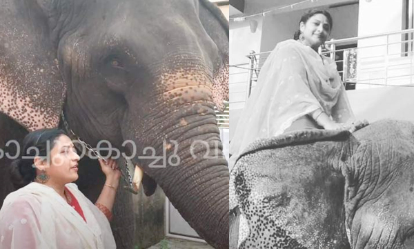 actress praveena elephant video