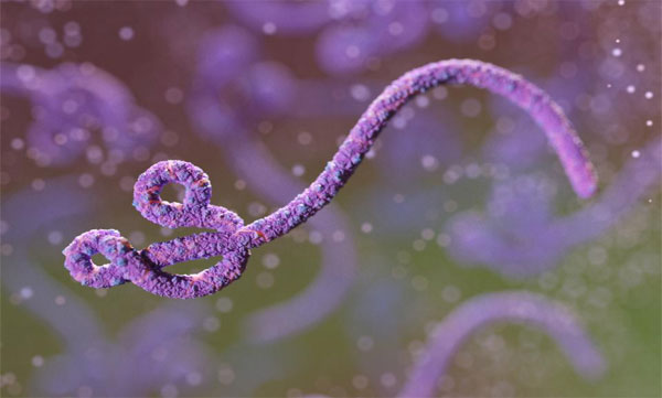Ebola strikes Congo again