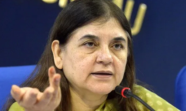 criticizing against menakagandhi