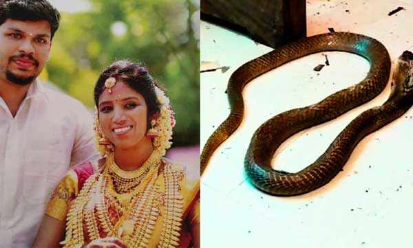 doctors statement about urta death case