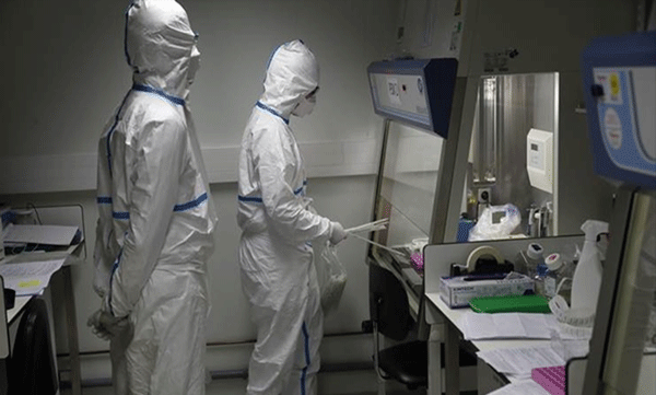 corona test, swabs will collect in home 