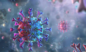 Coronavirus cases in India mount to 490401; death toll at 15301