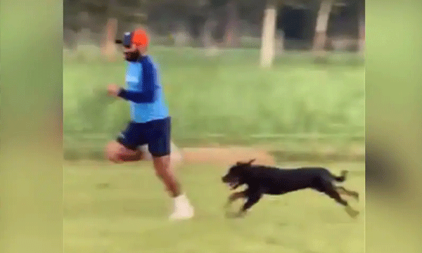 Mohammed Shami Sprints Alongside His Pet Dog To Improve Speed