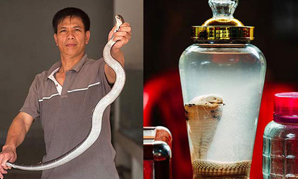 about snake village