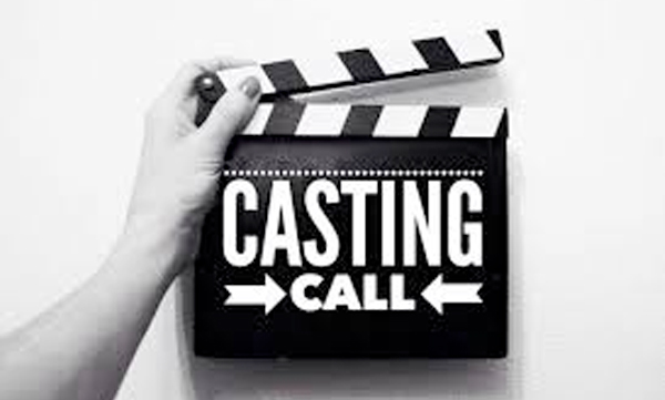 Film Chamber says casting call should be informed them