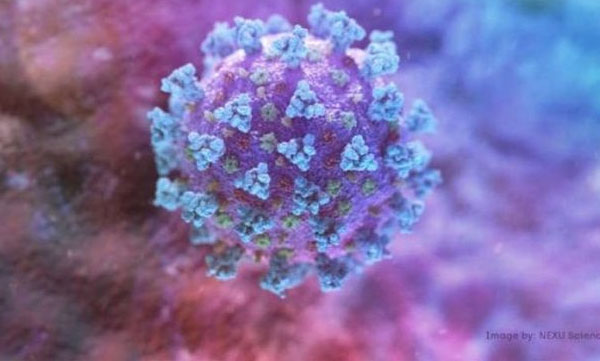 kozhikode youth died after recovered from covid 