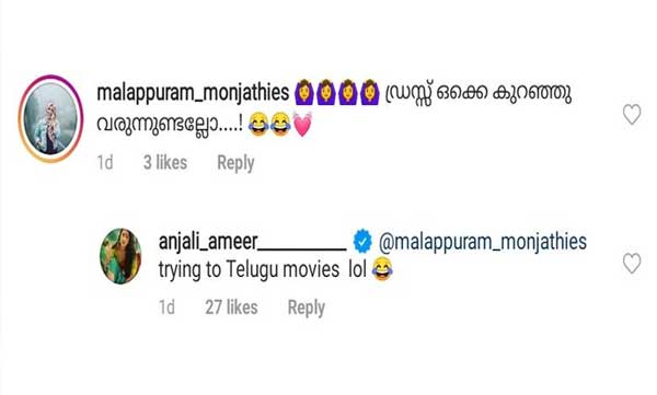 anjali ameer reply