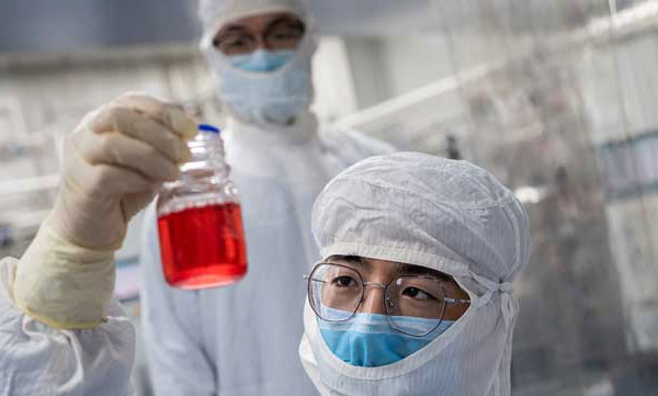 covid negative certificate 