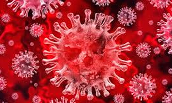 lock down in three punchayaths in kollam