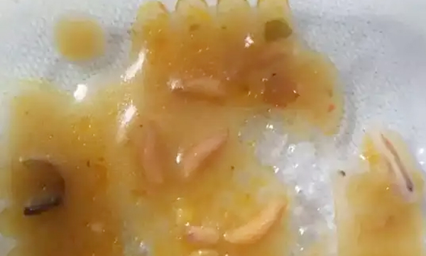 worms in food complain doctors on covid 19 duty at uttar pradesh