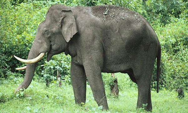 baby died after falling from his father's hand 