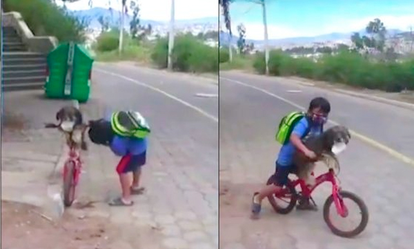 young boy putting face mask on his pet dog