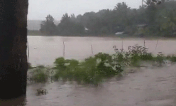 NDRF rescue attempt kottayam
