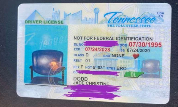 renew-driving-licence-online-new-licence-comes-with-a-photo-of-chair