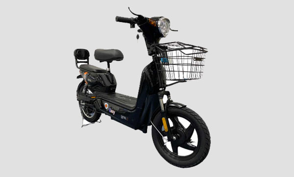 Detel Easy Electric Moped Launched In India: Priced At Rs 19,999