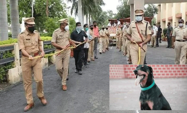 police dog died in mumbai 