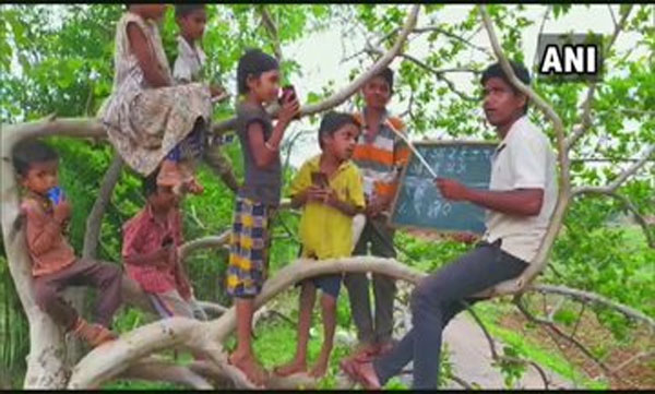 poor network connectivity, Man teaches kids sitting atop tree