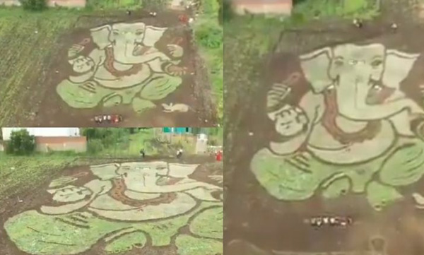 youth creates big ganapati in half acre land