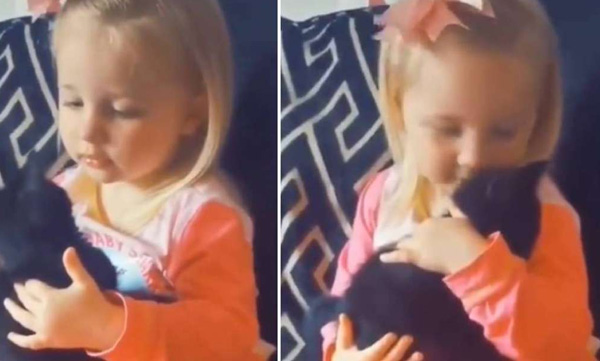 child playing with pet cat video viral 
