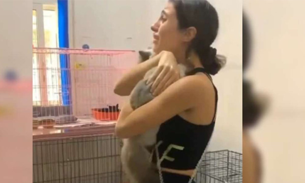 pet return back missing when beirut exploison happened 