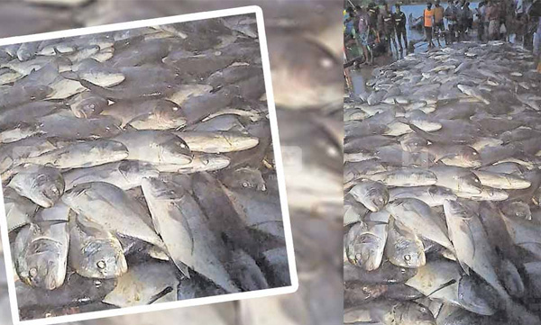 trivandram chirayankeezh chakara