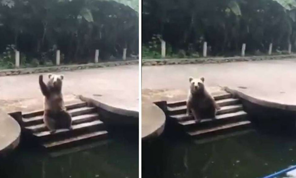 beer showimg hands asking food video viral 