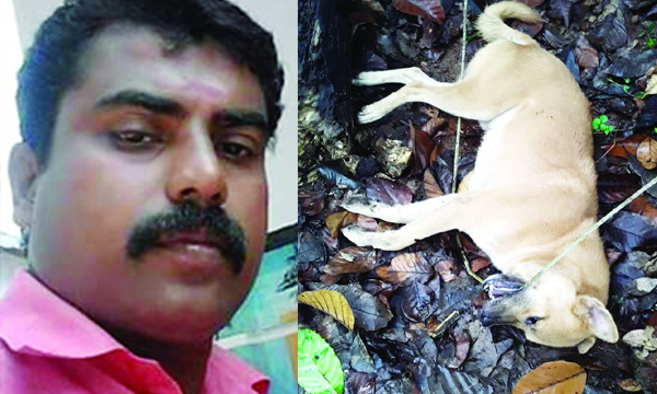 dog save life of his master