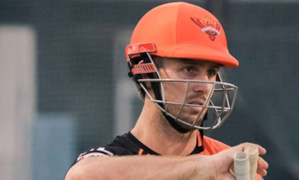 michell marsh ruled out from ipl because of injury 