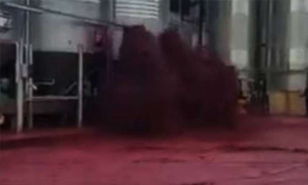 50,000 liters wine leaked in spain 