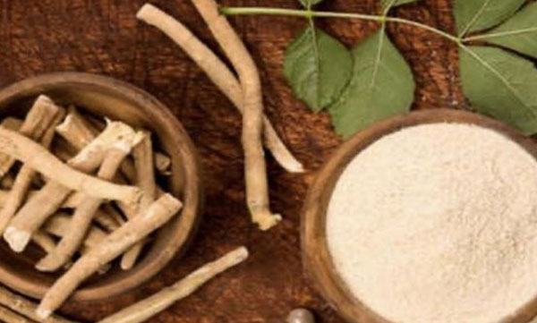 Ayurveda treatment for covid