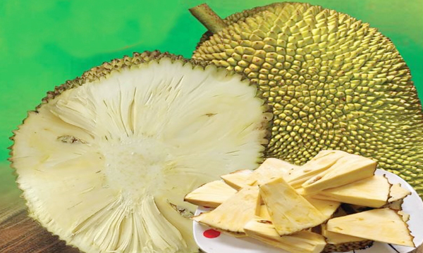 jack fruit
